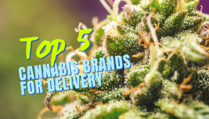 dispensary delivery near me