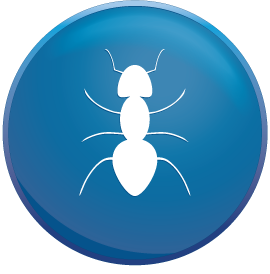 pest control Romford