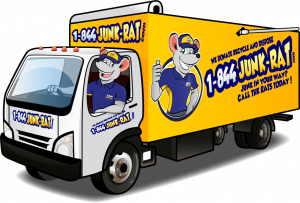 movers chelmsford
